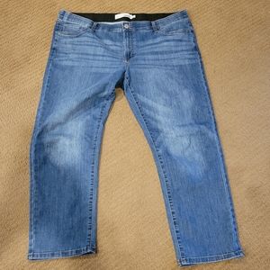 Sonoma Plus Sized Jeans